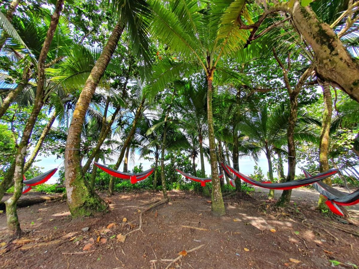 Caribbean View Tortuguero Exterior foto