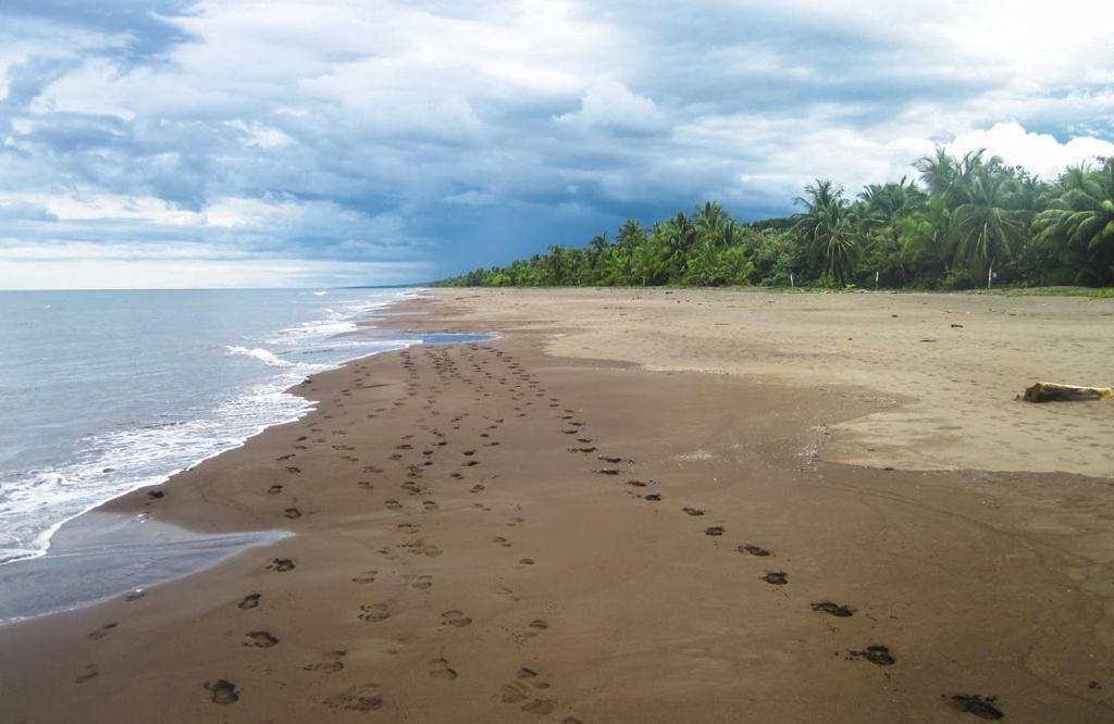 Caribbean View Tortuguero Exterior foto