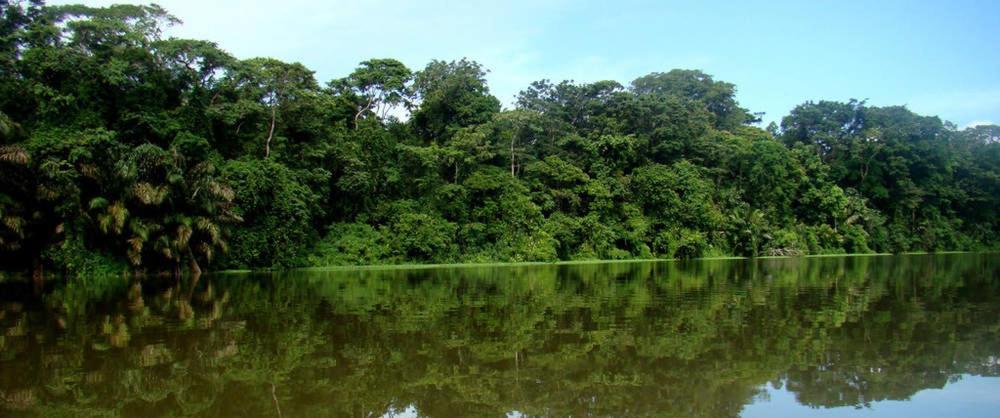Caribbean View Tortuguero Exterior foto