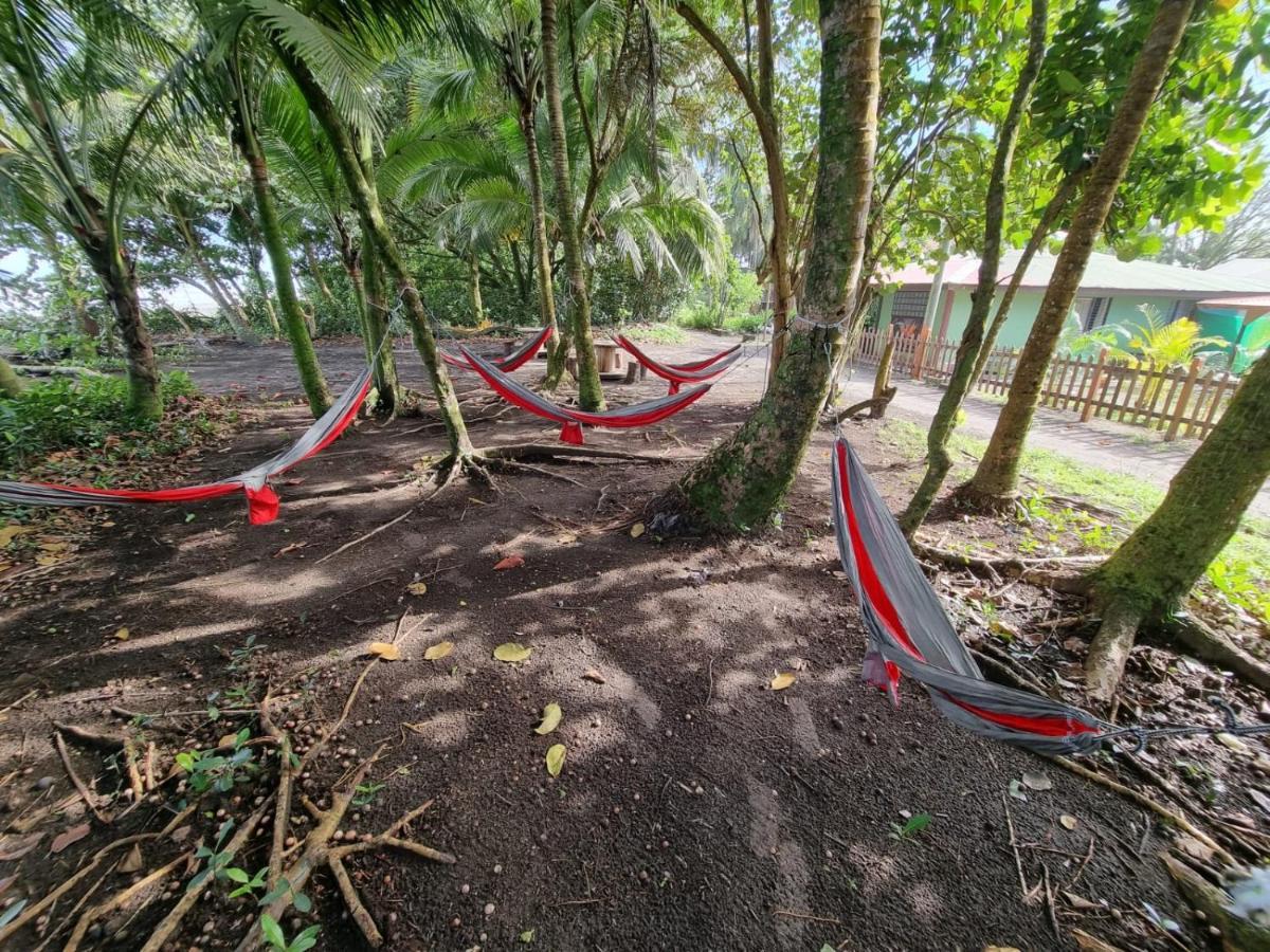 Caribbean View Tortuguero Exterior foto