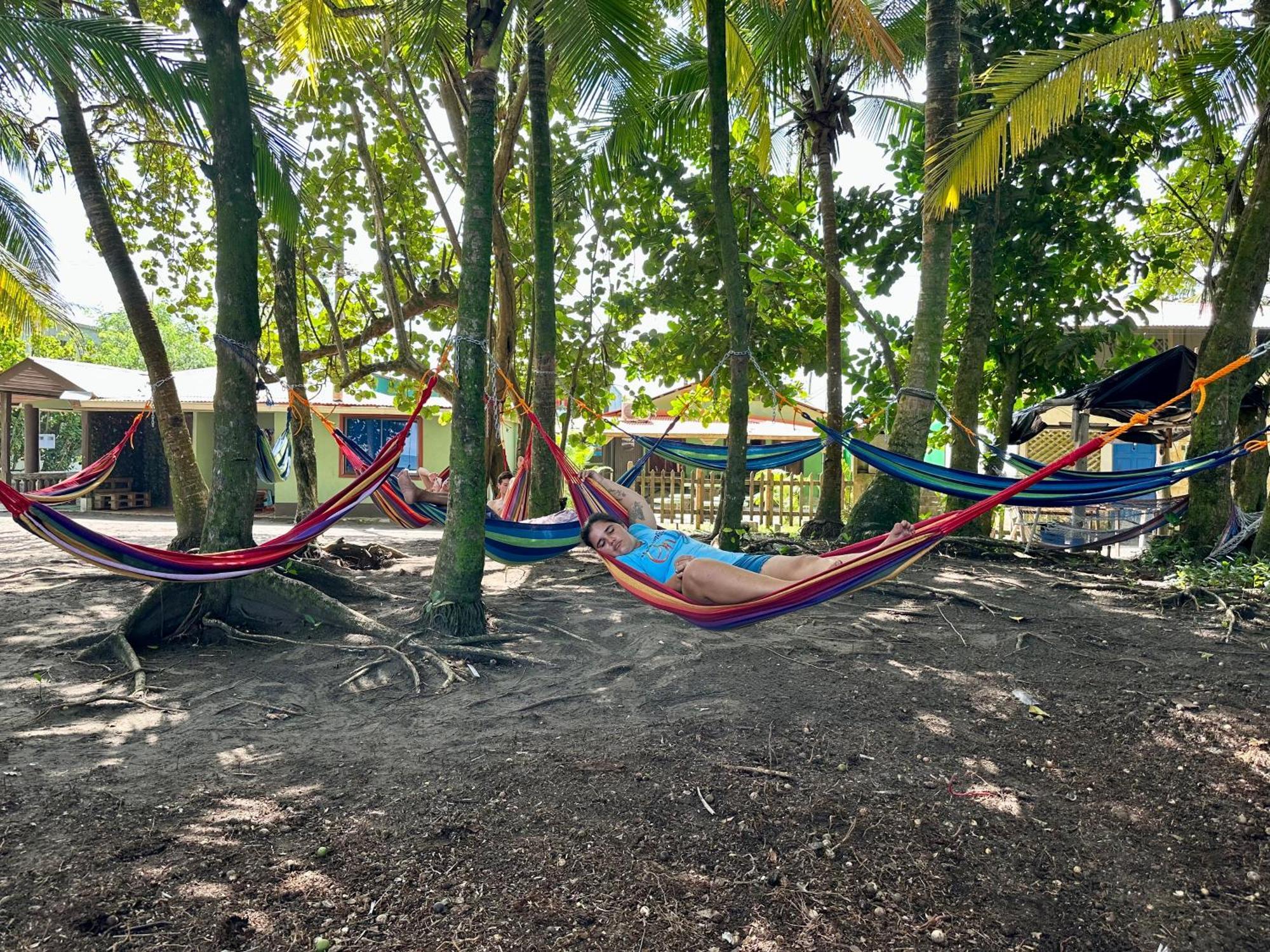 Caribbean View Tortuguero Exterior foto