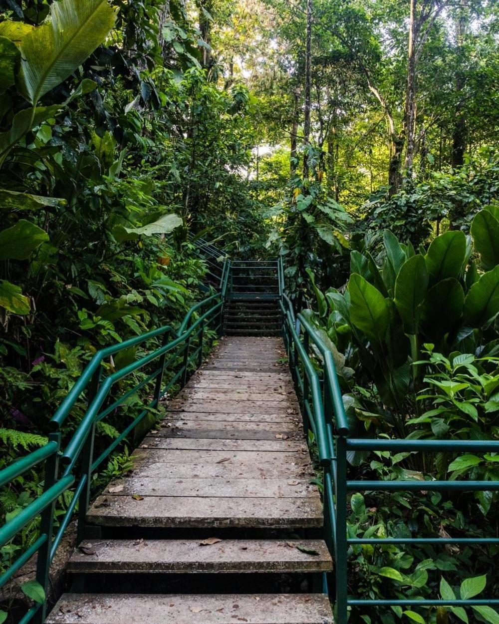 Caribbean View Tortuguero Exterior foto