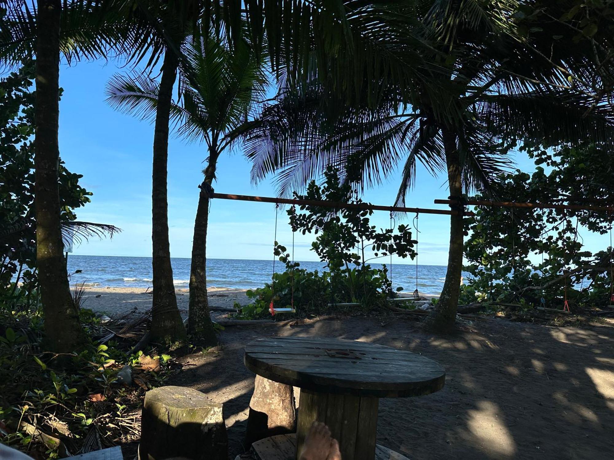 Caribbean View Tortuguero Exterior foto